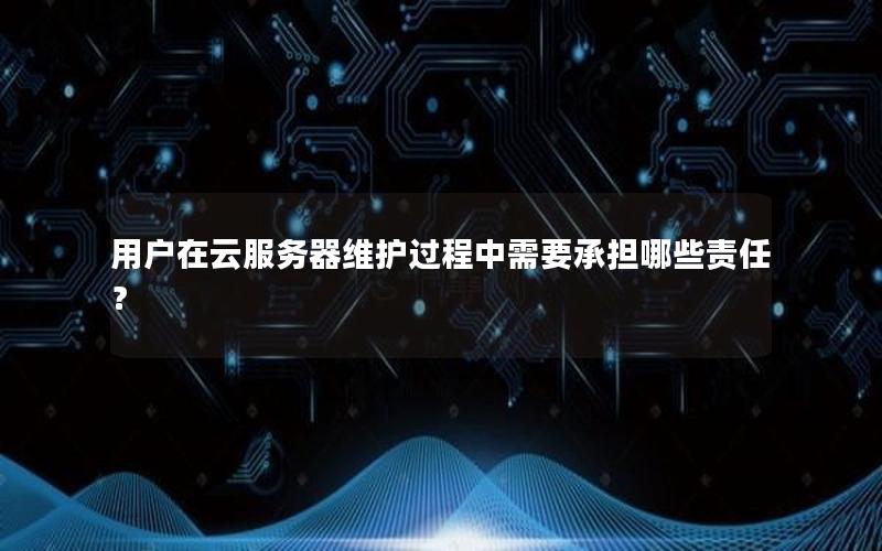 用户在云服务器维护过程中需要承担哪些责任？