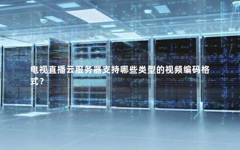 电视直播云服务器支持哪些类型的视频编码格式？