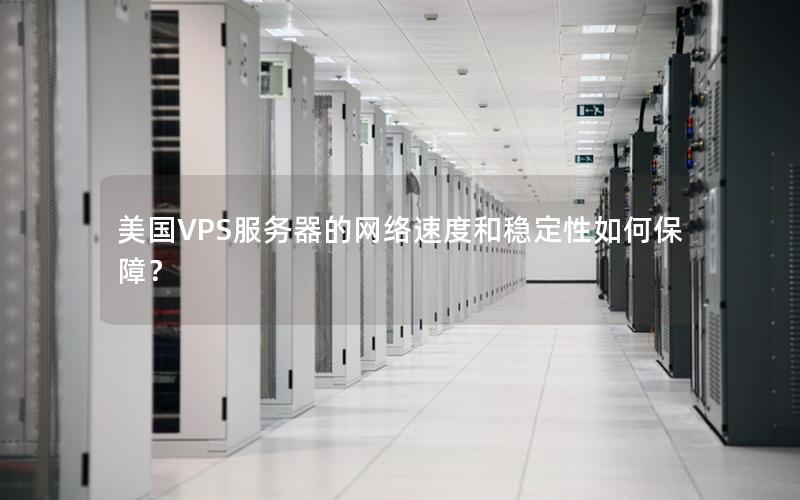 美国VPS服务器的网络速度和稳定性如何保障？