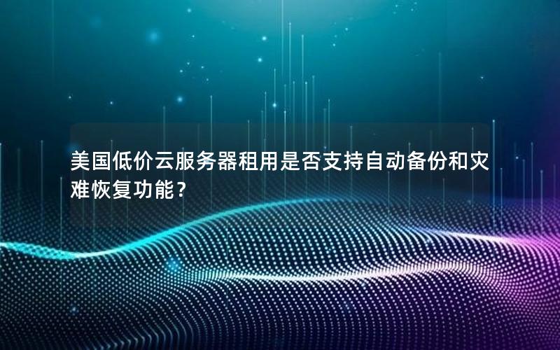 美国低价云服务器租用是否支持自动备份和灾难恢复功能？