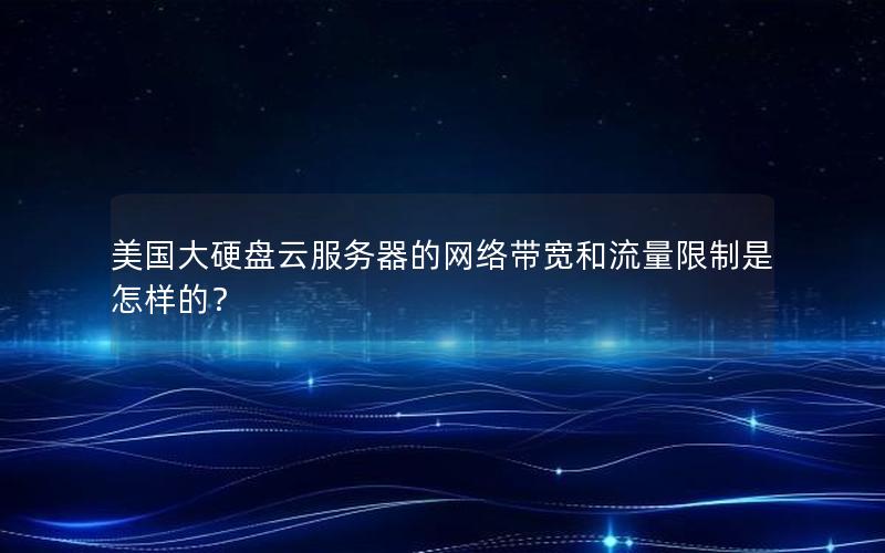 美国大硬盘云服务器的网络带宽和流量限制是怎样的？