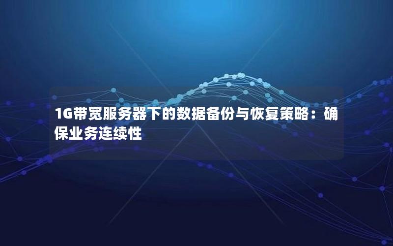1G带宽服务器下的数据备份与恢复策略：确保业务连续性