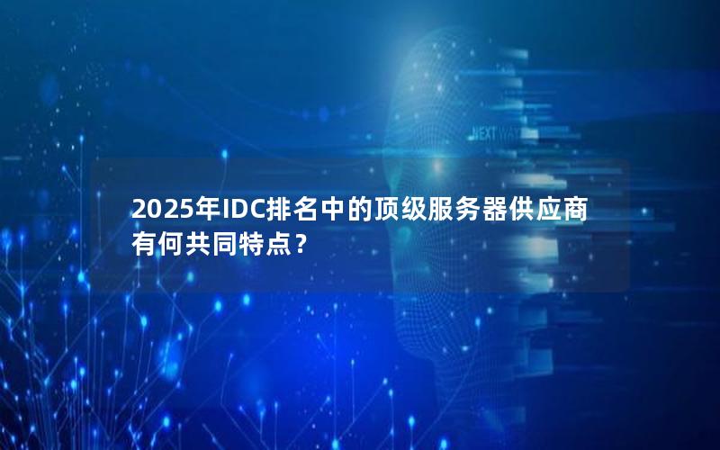 2025年IDC排名中的顶级服务器供应商有何共同特点？