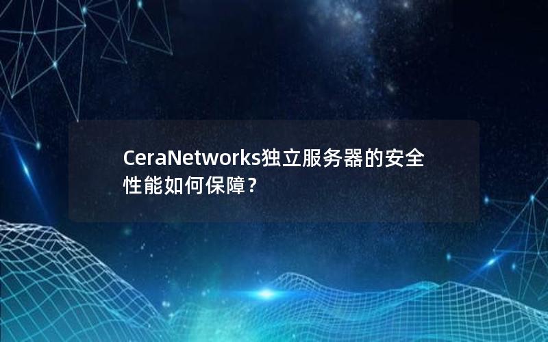 CeraNetworks独立服务器的安全性能如何保障？
