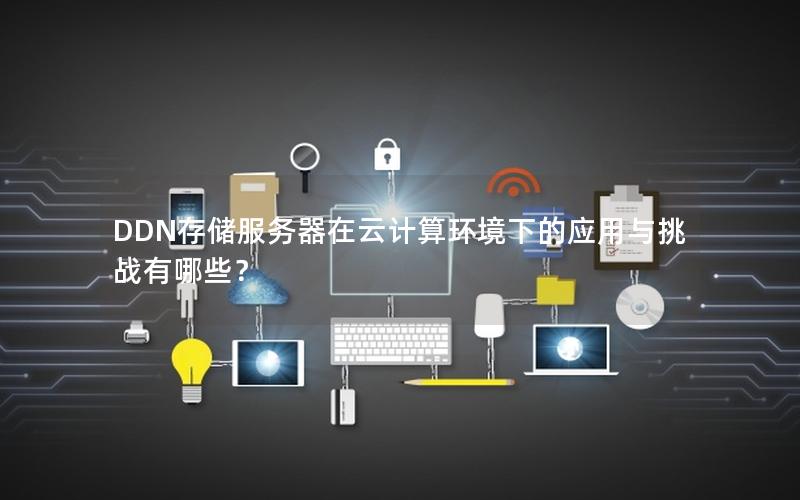DDN存储服务器在云计算环境下的应用与挑战有哪些？