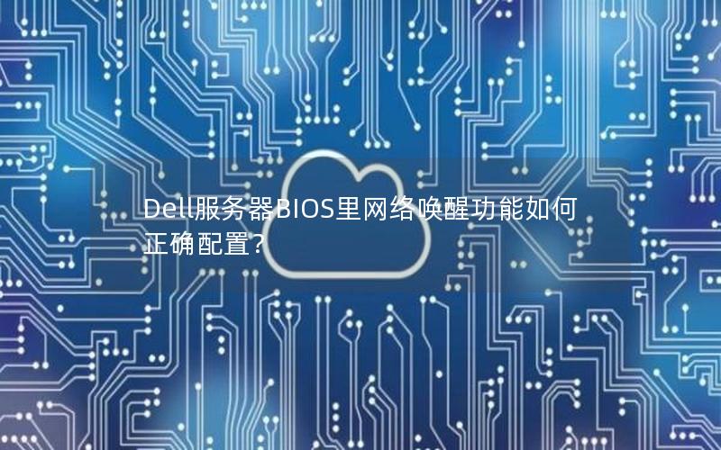 Dell服务器BIOS里网络唤醒功能如何正确配置？