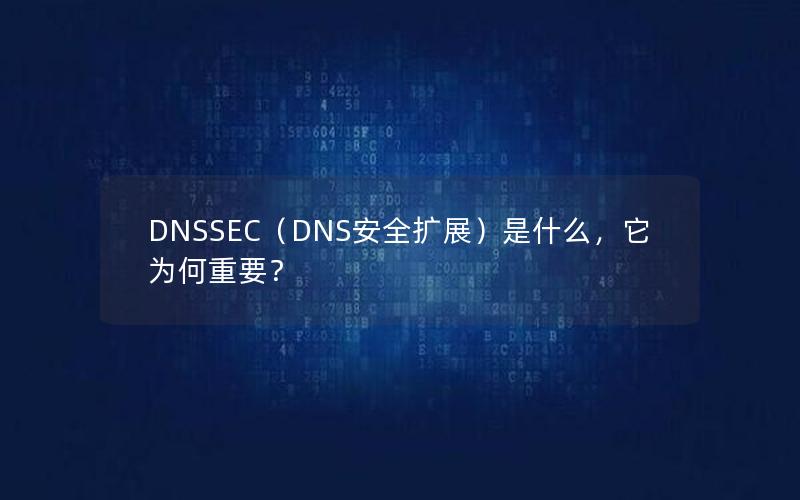 DNSSEC（DNS安全扩展）是什么，它为何重要？