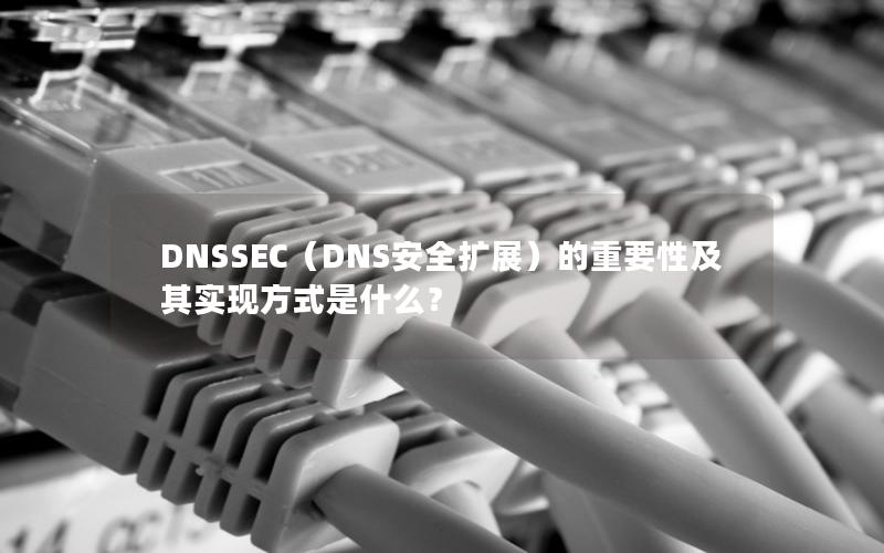 DNSSEC（DNS安全扩展）的重要性及其实现方式是什么？