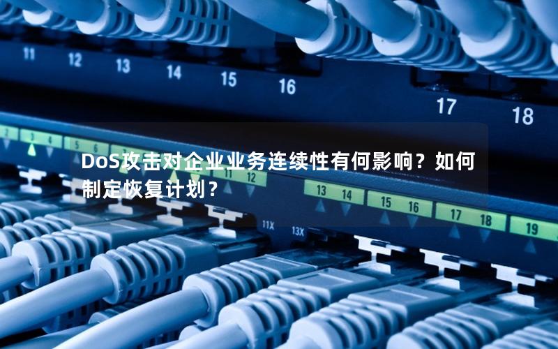 DoS攻击对企业业务连续性有何影响？如何制定恢复计划？