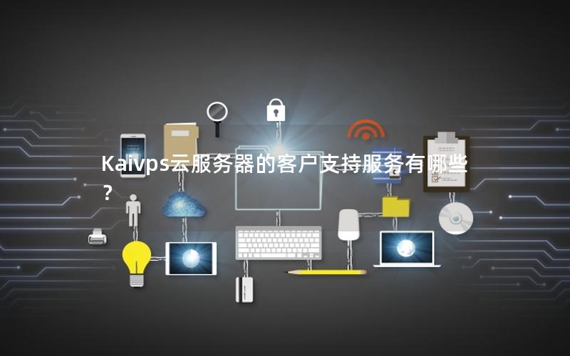 Kaivps云服务器的客户支持服务有哪些？