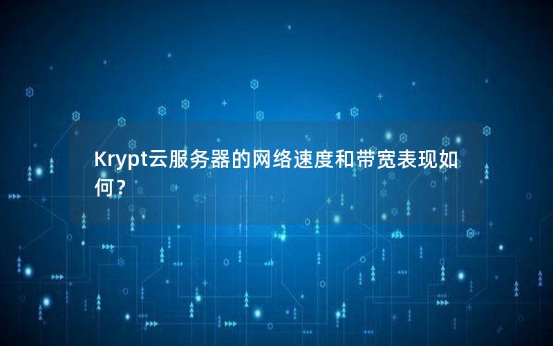 Krypt云服务器的网络速度和带宽表现如何？
