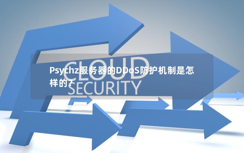 Psychz服务器的DDoS防护机制是怎样的？