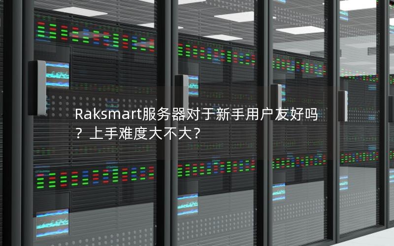 Raksmart服务器对于新手用户友好吗？上手难度大不大？