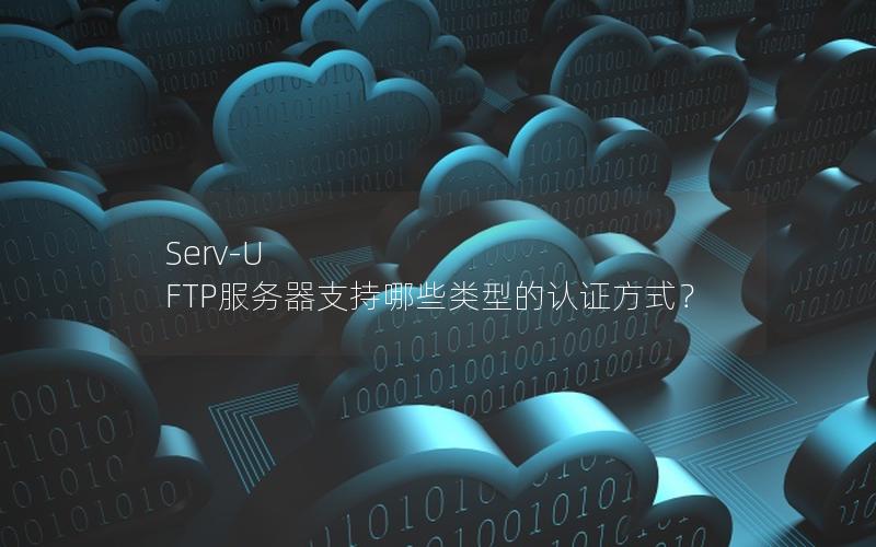 Serv-U FTP服务器支持哪些类型的认证方式？