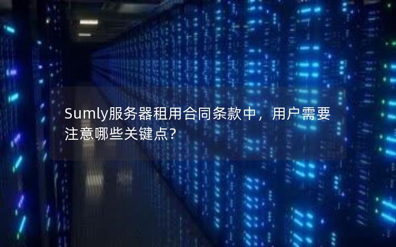 Sumly服务器租用合同条款中，用户需要注意哪些关键点？