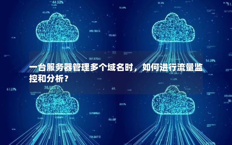 一台服务器管理多个域名时，如何进行流量监控和分析？