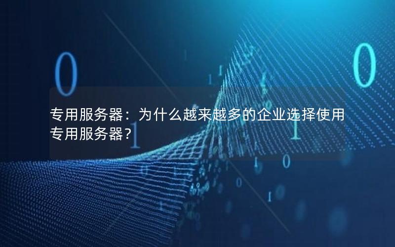 专用服务器：为什么越来越多的企业选择使用专用服务器？