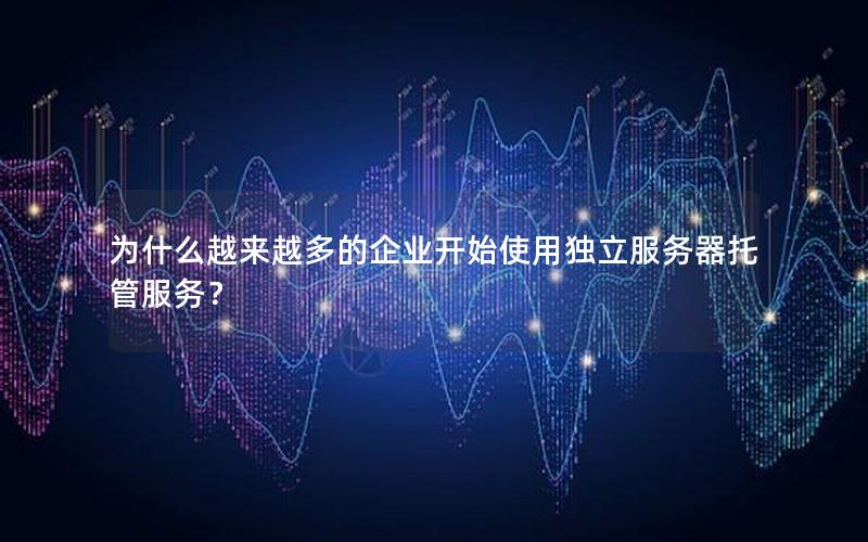 为什么越来越多的企业开始使用独立服务器托管服务？