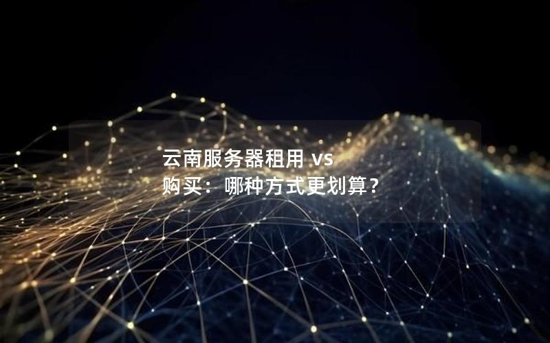 云南服务器租用 vs 购买：哪种方式更划算？