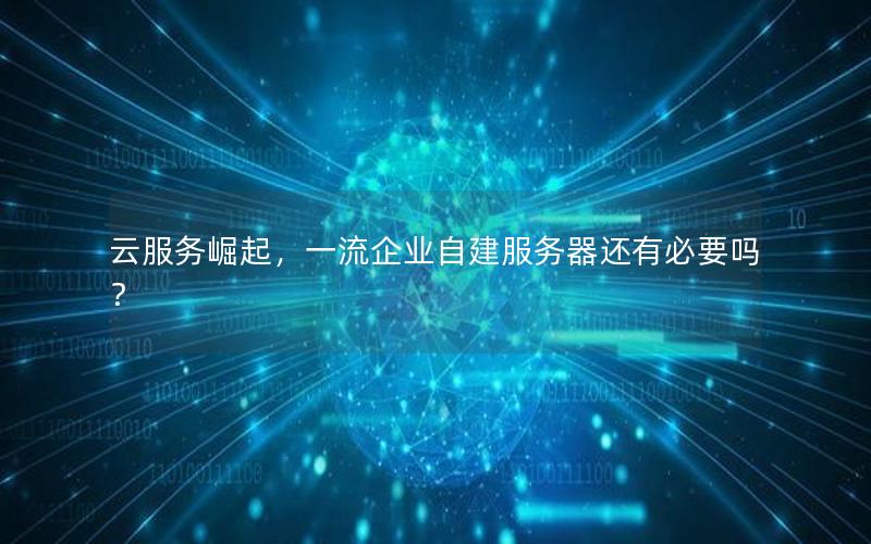 云服务崛起，一流企业自建服务器还有必要吗？