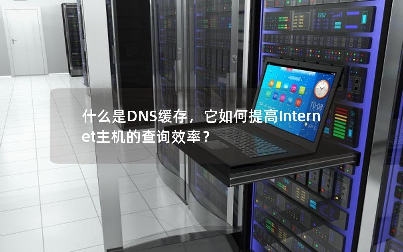 什么是DNS缓存，它如何提高Internet主机的查询效率？