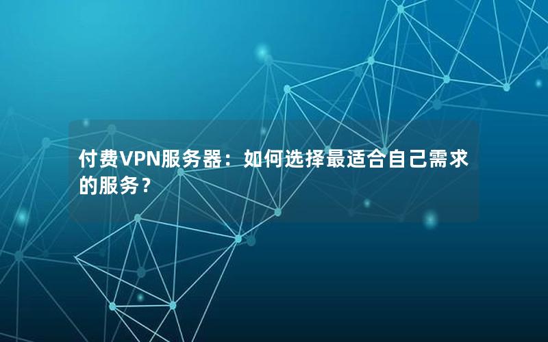 付费VPN服务器：如何选择最适合自己需求的服务？