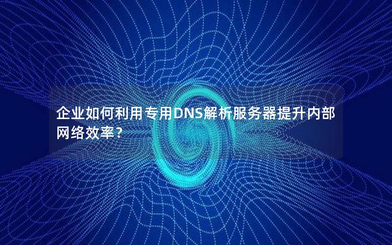 企业如何利用专用DNS解析服务器提升内部网络效率？