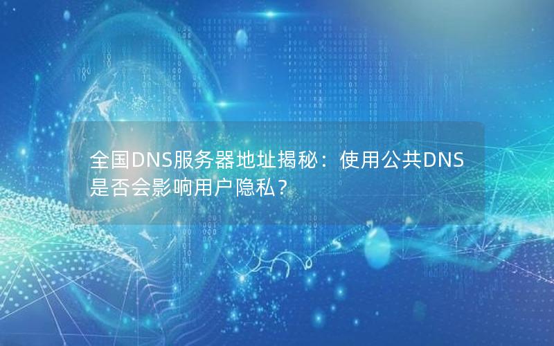 全国DNS服务器地址揭秘：使用公共DNS是否会影响用户隐私？