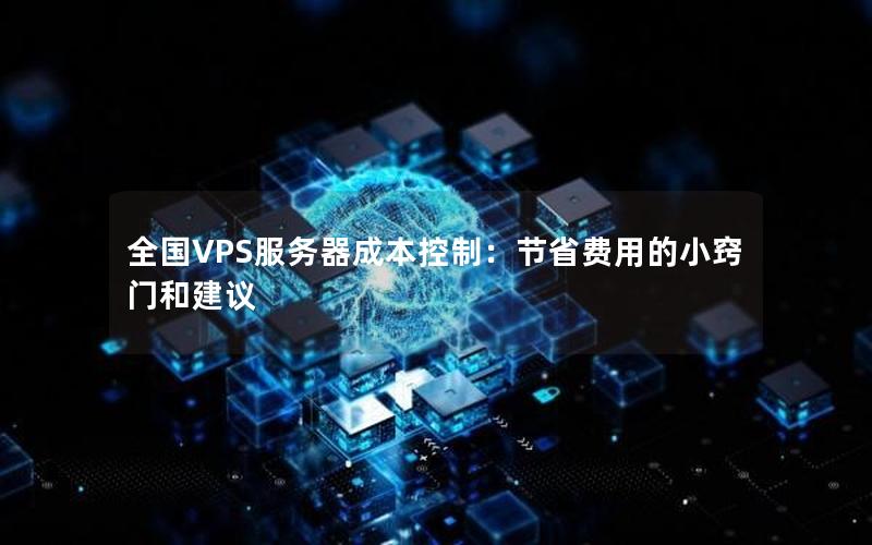全国VPS服务器成本控制：节省费用的小窍门和建议