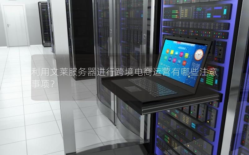 利用文莱服务器进行跨境电商运营有哪些注意事项？