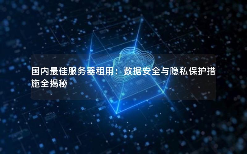 国内最佳服务器租用：数据安全与隐私保护措施全揭秘