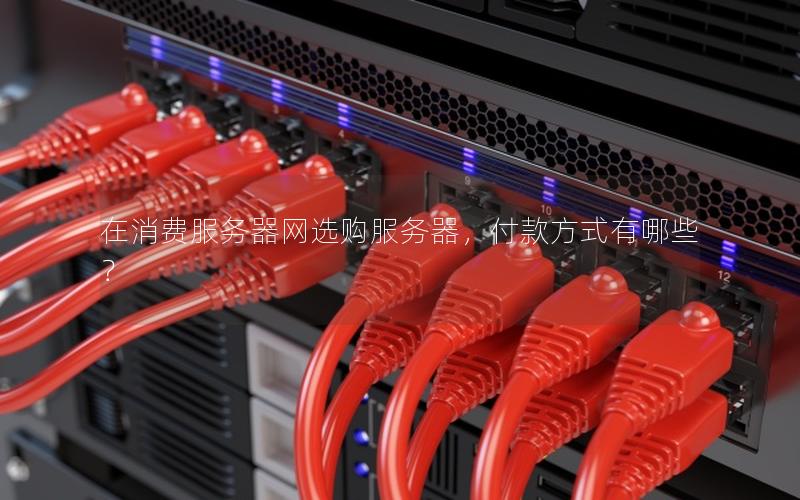 在消费服务器网选购服务器，付款方式有哪些？