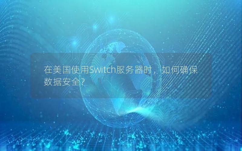 在美国使用Switch服务器时，如何确保数据安全？