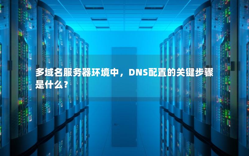 多域名服务器环境中，DNS配置的关键步骤是什么？