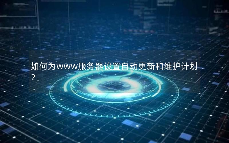如何为www服务器设置自动更新和维护计划？