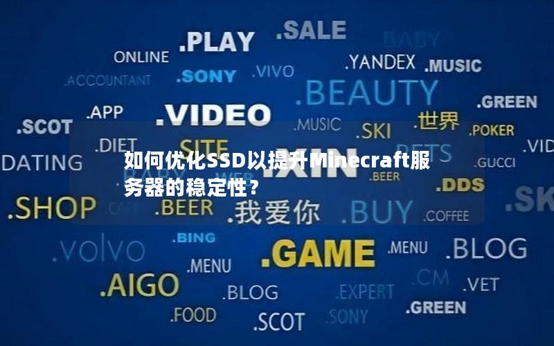 如何优化SSD以提升Minecraft服务器的稳定性？