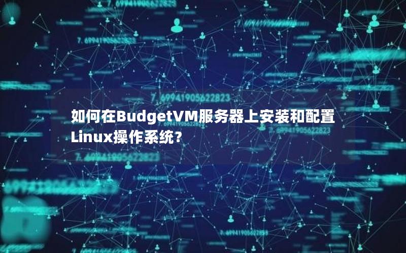 如何在BudgetVM服务器上安装和配置Linux操作系统？