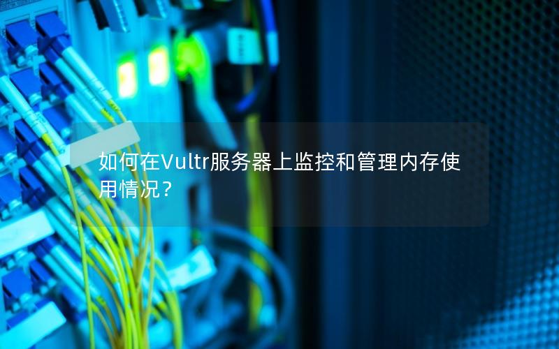 如何在Vultr服务器上监控和管理内存使用情况？