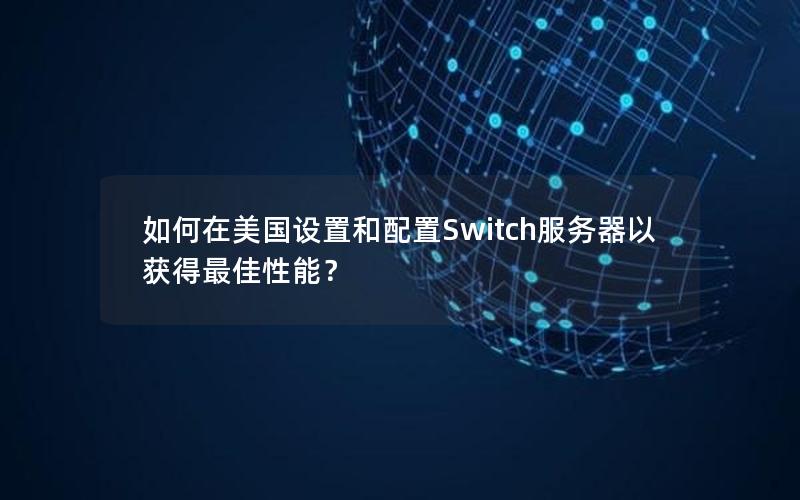 如何在美国设置和配置Switch服务器以获得最佳性能？