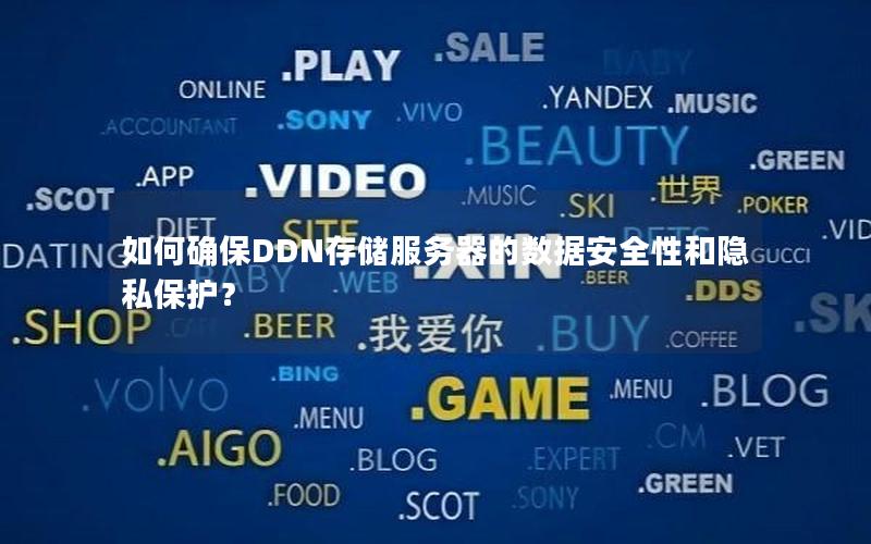 如何确保DDN存储服务器的数据安全性和隐私保护？