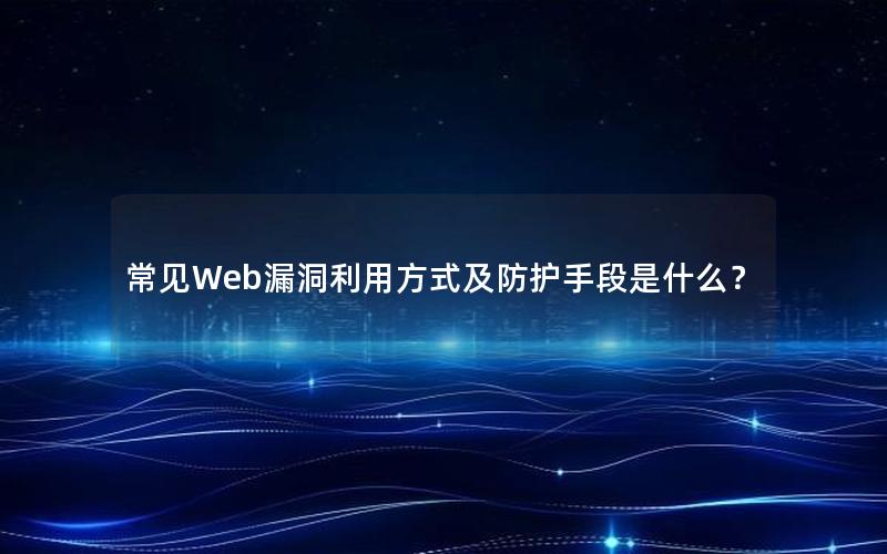 常见Web漏洞利用方式及防护手段是什么？