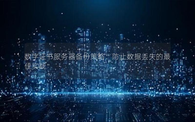 数字证书服务器备份策略：防止数据丢失的最佳实践