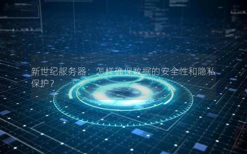 新世纪服务器：怎样确保数据的安全性和隐私保护？