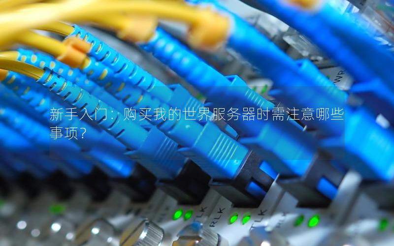 新手入门：购买我的世界服务器时需注意哪些事项？