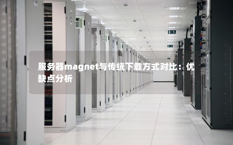 服务器magnet与传统下载方式对比：优缺点分析