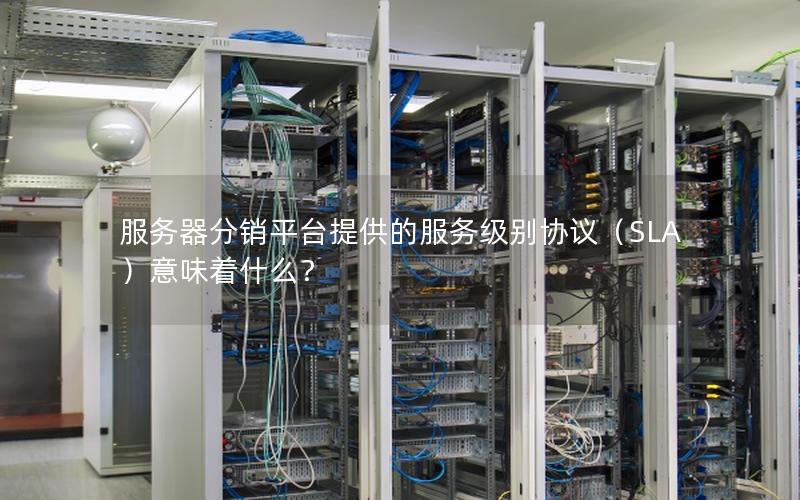服务器分销平台提供的服务级别协议（SLA）意味着什么？