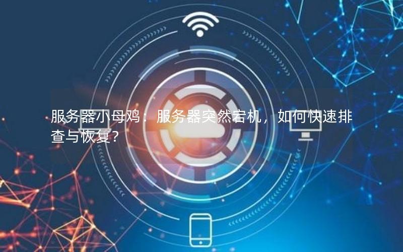 服务器小母鸡：服务器突然宕机，如何快速排查与恢复？
