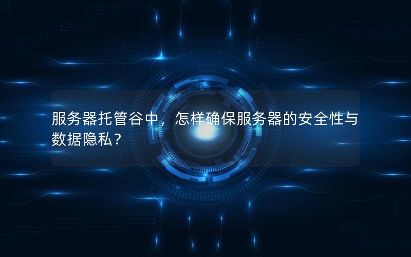 服务器托管谷中，怎样确保服务器的安全性与数据隐私？
