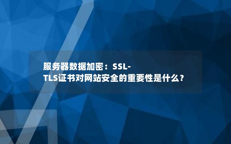 服务器数据加密：SSL-TLS证书对网站安全的重要性是什么？