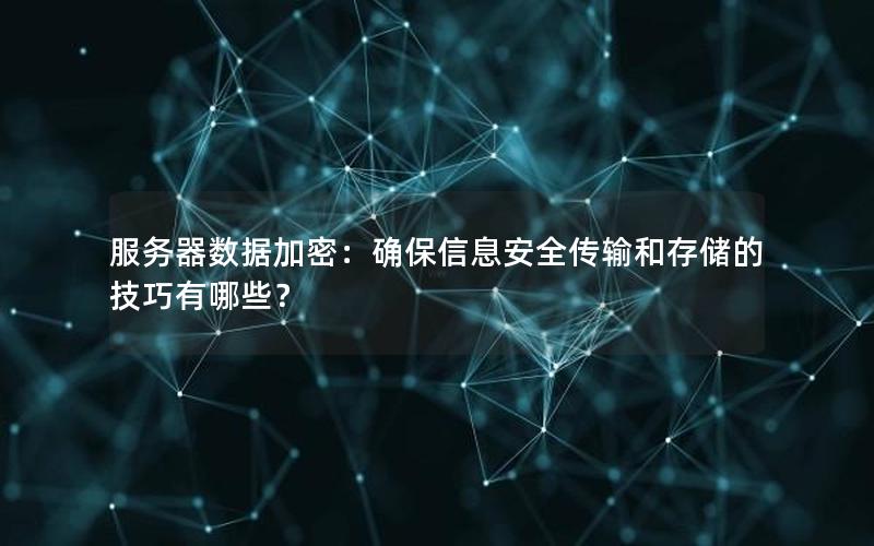 服务器数据加密：确保信息安全传输和存储的技巧有哪些？